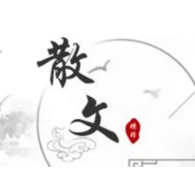 散文 | 睡在我下铺的兄弟