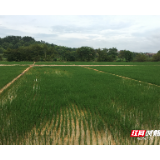 宜章县：耕地保护成效突出获国务院督查激励