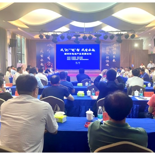 在一起便是机遇 郴州市电池产业发展论坛在临武县举行