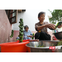 资兴：粽子飘香端午节