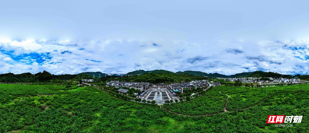 沙洲日记 | 雨后沙洲 ，洁净如洗，另有一番意境