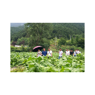 散文 | 雨中的戏台