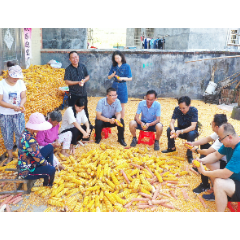 嘉禾：田间农家访民情  