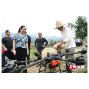 北湖区举办“一喷多促”现场观摩会和田间学校培训