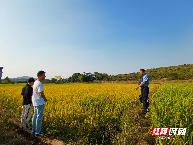 一个机制+23份检察建议=43亩耕地回归