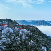 莽山之上观云海翻腾 倾泻山谷间