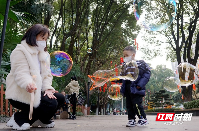 北湖公园：大红灯笼高高挂 郴州市城区年味渐浓