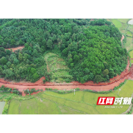 临武县： 打通供气路 夯实要素保障根基