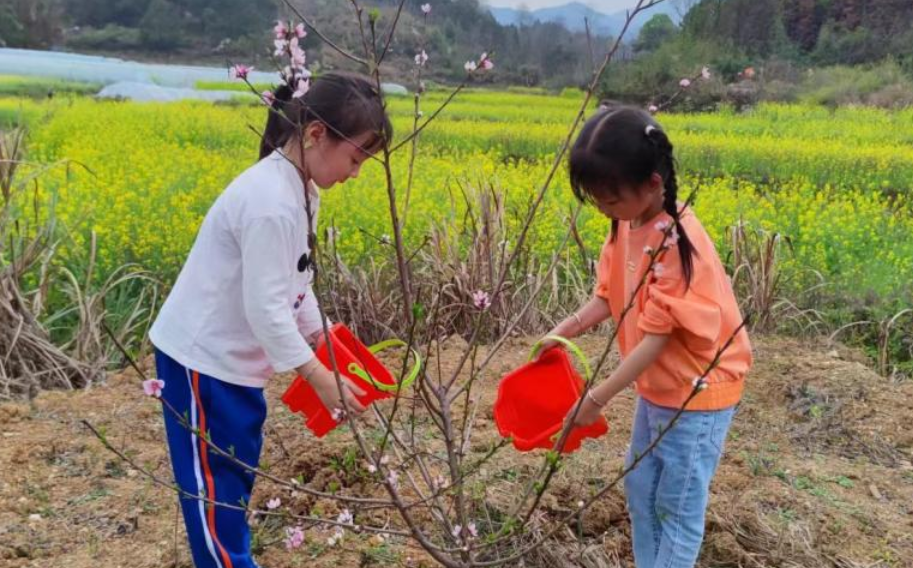 培育护绿植绿小使者  苏仙区第二幼儿园开展植树节系列活动