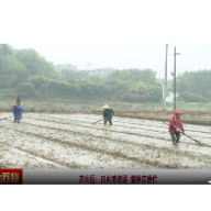 苏仙区：田间春潮涌播种育秧忙