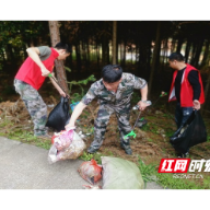 桂阳县樟市镇：开展大清扫 助力旅发会