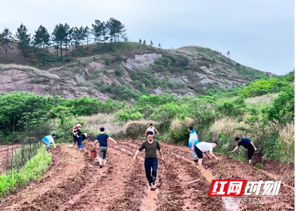 安仁：支部农场赋能党性教育