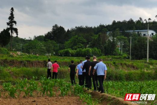 宜章县关溪乡无人机助力禁种铲毒无空档