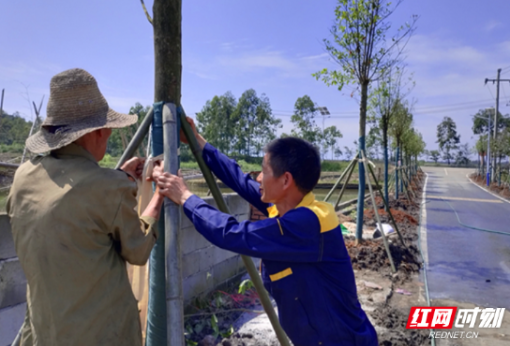 资兴市唐洞街道：按下提质“快进键”扮靓乡村风貌