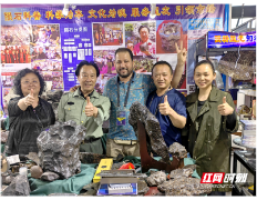 中国陨石科普团队盛赞第十一届中国（湖南）矿博会