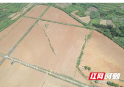 临武：“五有”推进耕地抛荒治理