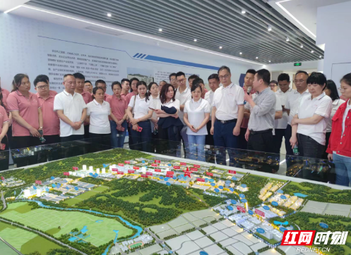 与“锂”同行 “锂”中有我 ——临武县委党校主体班学员参观锂电产业