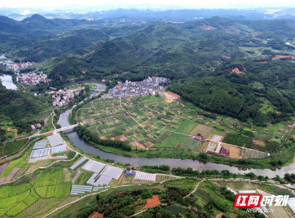 临武龙归坪：学古村“廉风” 品乡村“良味”