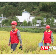 曾建西：十六载坚守 “一亩三分地”可靠用电