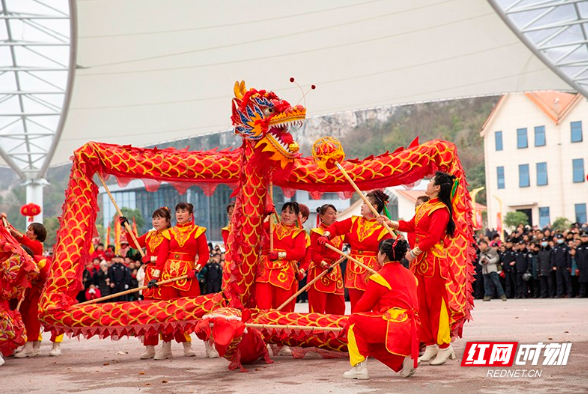 元宵佳节 临武舞龙大会“龙”重上演