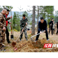 桂东：植绿增绿绿满青山