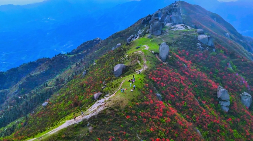 桂阳扶苍山：杜鹃盛开 云海景观美不胜收