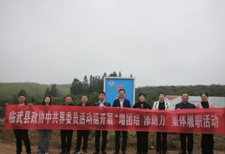 临武县政协开展“增团结 添助力”履职活动