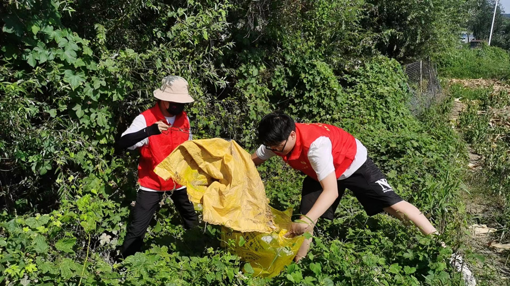志愿者在清理垃圾_副本.jpg