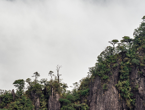 2025年郴州旅游发展大会 | “郴品郴味 宜人风味”等您来!