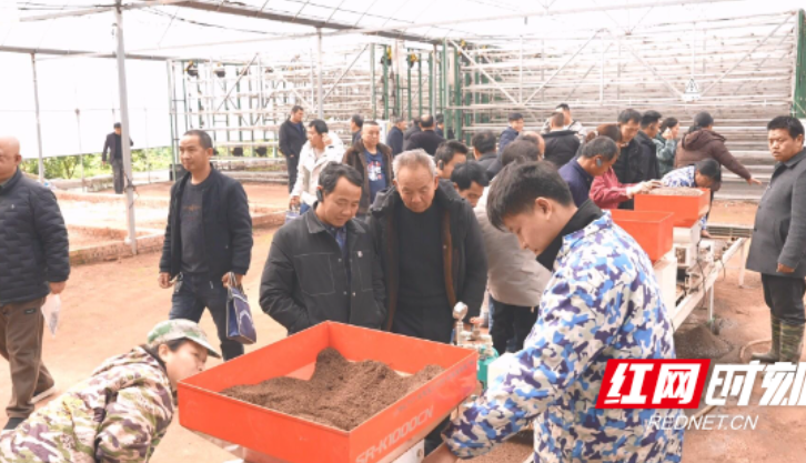 永兴县：农技培训备春耕 农机赋能稳粮安