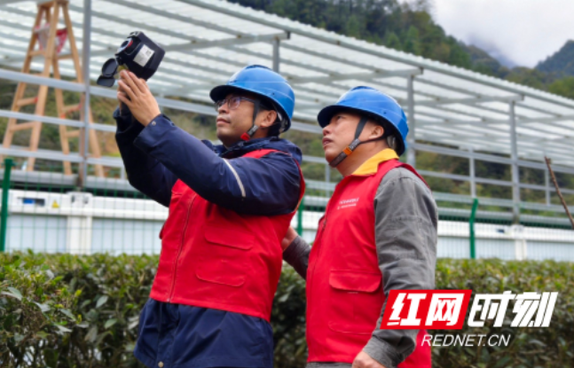 国网桂东县供电公司：电护春耕  筑牢“安全堤”