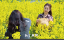 宜章县：金色花海引客来 农文旅融合助增收