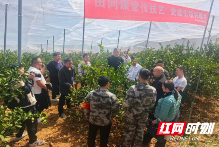 资兴市:党员春训“充电”忙 党建赋能促振兴