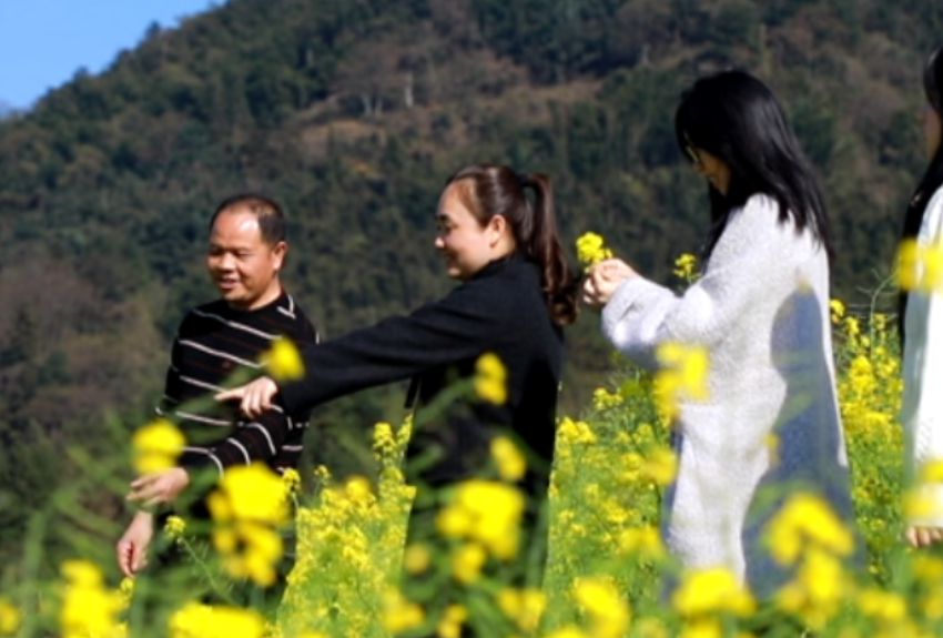 北湖区:油菜花开春意浓 农旅融合促振兴