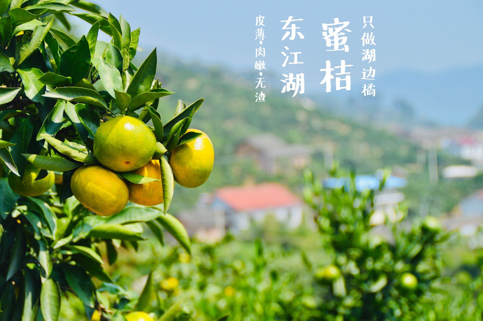 d5e22e29045d9cd31029615bad501c3f (2).jpg