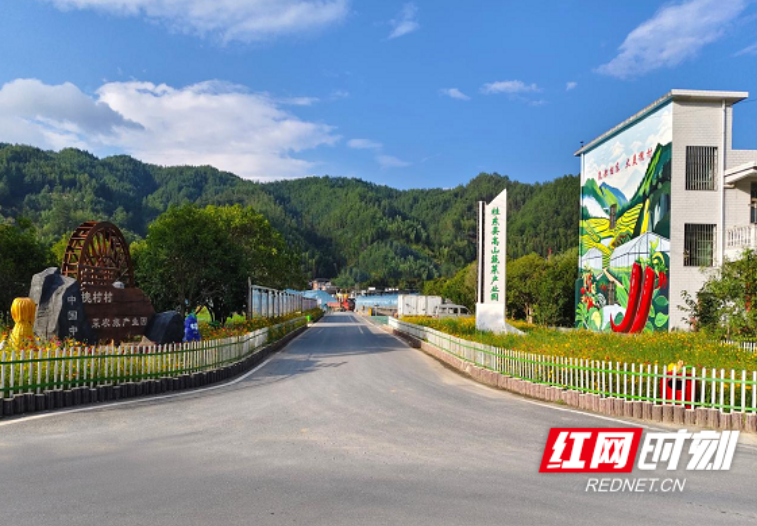 高山种好“业” 寨前绘富景 桂东寨前镇“农业产业强镇”新实践