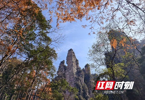 QQ图片20251201095743_副本.jpg QQ图片20251201095743_副本.jpg