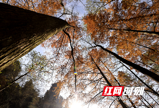 未命名_22副本.jpg 未命名_22副本.jpg