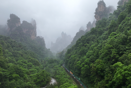 DJI_20260519151924_0560_D_副本_副本.jpg