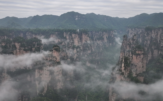 DJI_20260521063108_0660_D_副本_副本.jpg