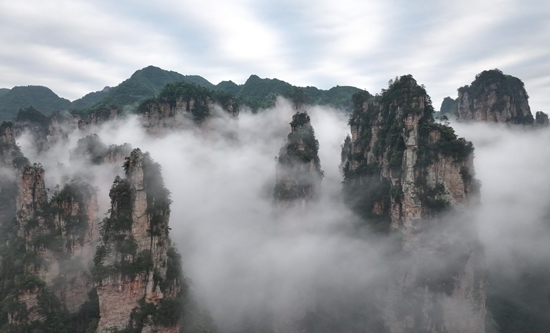 DJI_20260521063917_0691_D_副本_副本.jpg