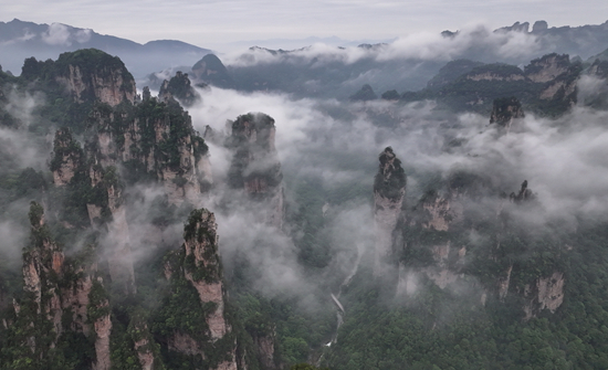 DJI_20260521064822_0723_D_副本_副本.jpg