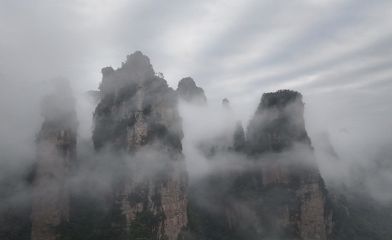 DJI_20260521063847_0687_D_副本_副本.jpg