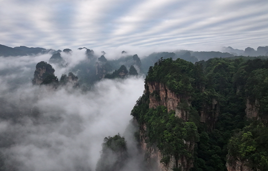 DJI_20260521063350_0676_D_副本_副本.jpg