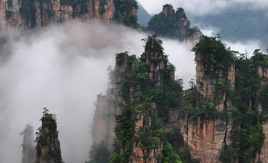 DJI_20260521064146_0704_D_副本_副本.jpg