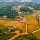 临澧县：加强农村公路建设  助力乡村振兴发展
