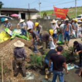 湖南百舸水利共双茶项目：成功抢险管涌一处  支援地方防汛工作