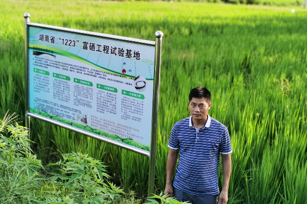 省十佳农民-李敦贵2  在富硒试验稻田.jpg