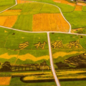 从精准扶贫到乡村振兴，看湖南如何掀开新篇章？