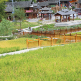 湖南科技学院外国语学院教师郭娟:因为热爱 初心不改